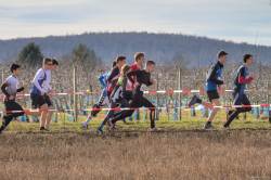 20200215-112312-IMG_9595.jpg 20200215-112312-IMG_9595.jpg