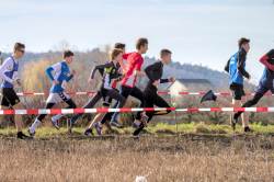 20200215-112315-IMG_9601.jpg 20200215-112315-IMG_9601.jpg