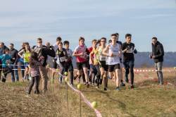 20200215-112325-IMG_9611.jpg 20200215-112325-IMG_9611.jpg