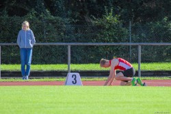 20201003_155257-IMG_2730.jpg 20201003_155257-IMG_2730.jpg