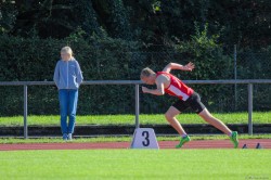 20201003_155316-IMG_2732.jpg 20201003_155316-IMG_2732.jpg