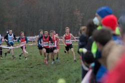 Sparkassen Cross - Pforzheim