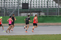 20221101-090116_R7MA3108-Hockenheimringlauf2022.jpg 20221101-090116_R7MA3108-Hockenheimringlauf2022.jpg