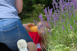 20220618-1129-U18-Gala-Walldorf-120.jpg 20220618-1129-U18-Gala-Walldorf-120.jpg