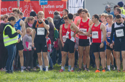 20221112-113634-Sparkassen_Cross_Pforzheim-R7MA3769.jpg 20221112-113634-Sparkassen_Cross_Pforzheim-R7MA3769.jpg