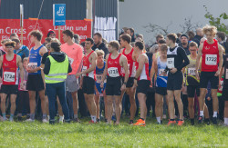 20221112-113849-Sparkassen_Cross_Pforzheim-R7MA3805.jpg 20221112-113849-Sparkassen_Cross_Pforzheim-R7MA3805.jpg