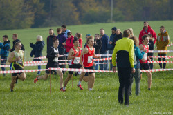 20221112-114122-Sparkassen_Cross_Pforzheim-R7MA3857.jpg 20221112-114122-Sparkassen_Cross_Pforzheim-R7MA3857.jpg