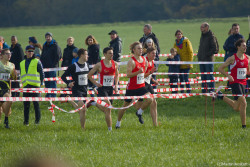 20221112-114124-Sparkassen_Cross_Pforzheim-R7MA3859.jpg 20221112-114124-Sparkassen_Cross_Pforzheim-R7MA3859.jpg