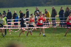 20221112-114124-Sparkassen_Cross_Pforzheim-R7MA3860.jpg 20221112-114124-Sparkassen_Cross_Pforzheim-R7MA3860.jpg