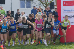 20221112-123148-Sparkassen_Cross_Pforzheim-R7MA4034.jpg 20221112-123148-Sparkassen_Cross_Pforzheim-R7MA4034.jpg