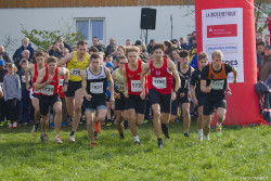 20221112-125437-Sparkassen_Cross_Pforzheim-R7MA4263.jpg 20221112-125437-Sparkassen_Cross_Pforzheim-R7MA4263.jpg
