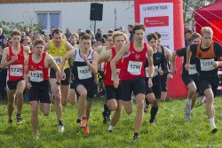 20221112-125438-Sparkassen_Cross_Pforzheim-R7MA4271.jpg 20221112-125438-Sparkassen_Cross_Pforzheim-R7MA4271.jpg