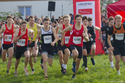 20221112-125438-Sparkassen_Cross_Pforzheim-R7MA4272.jpg 20221112-125438-Sparkassen_Cross_Pforzheim-R7MA4272.jpg