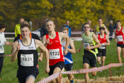 20221112-125539-Sparkassen_Cross_Pforzheim-R7MA4301.jpg 20221112-125539-Sparkassen_Cross_Pforzheim-R7MA4301.jpg