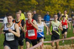 20221112-125539-Sparkassen_Cross_Pforzheim-R7MA4304.jpg 20221112-125539-Sparkassen_Cross_Pforzheim-R7MA4304.jpg