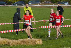 20221112-125831-Sparkassen_Cross_Pforzheim-R7MA4326.jpg 20221112-125831-Sparkassen_Cross_Pforzheim-R7MA4326.jpg