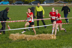 20221112-125831-Sparkassen_Cross_Pforzheim-R7MA4329.jpg 20221112-125831-Sparkassen_Cross_Pforzheim-R7MA4329.jpg