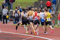 20230429-143239-DM-Langstaffel-2023-R7MA9177.jpg 20230429-143239-DM-Langstaffel-2023-R7MA9177.jpg