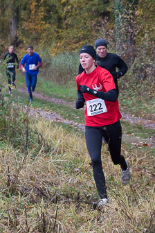 MA_20121027_Cross-Hatzenbuehl_069.jpg MA_20121027_Cross-Hatzenbuehl_069.jpg