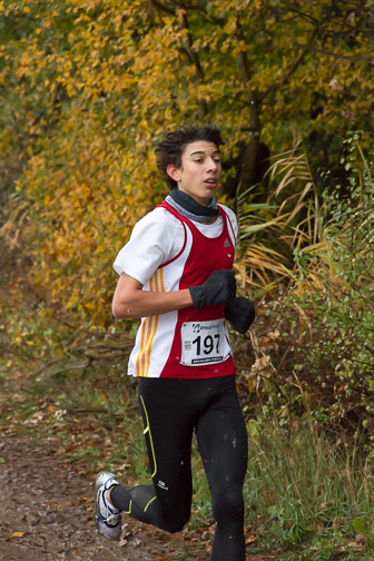 MA_20121027_Cross-Hatzenbuehl_097.jpg MA_20121027_Cross-Hatzenbuehl_097.jpg