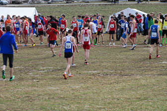 MA_20130309_DM_Cross_152.jpg
