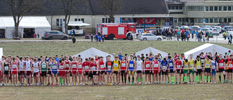 MA_20130309_DM_Cross_160.jpg