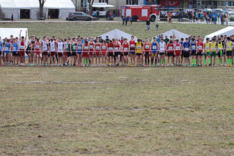 MA_20130309_DM_Cross_165.jpg