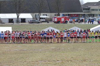 MA_20130309_DM_Cross_176.jpg
