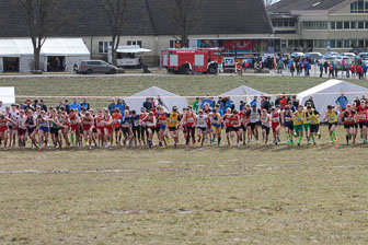 MA_20130309_DM_Cross_184.jpg