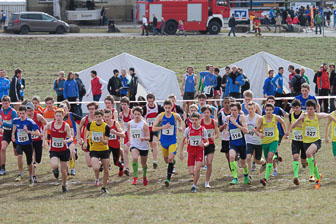 MA_20130309_DM_Cross_188.jpg