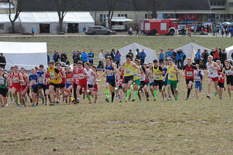 MA_20130309_DM_Cross_192.jpg