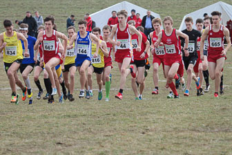 MA_20130309_DM_Cross_518.jpg