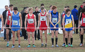 MA_20130309_DM_Cross_676.jpg