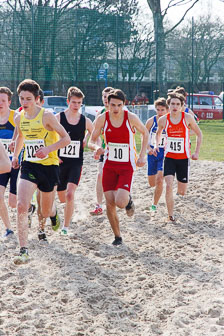 DM Cross