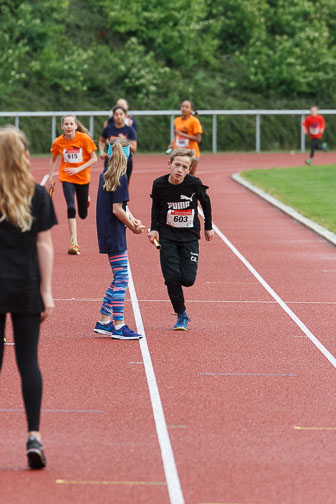 MA_20170519_Schulstaffel_163.jpg MA_20170519_Schulstaffel_163.jpg