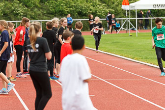 MA_20170519_Schulstaffel_394.jpg MA_20170519_Schulstaffel_394.jpg