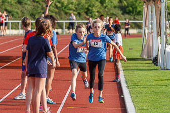 20180519-IMG_4660.jpg 20180519-IMG_4660.jpg